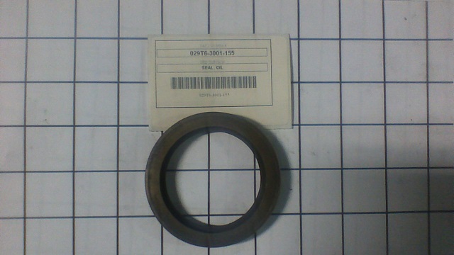 029T6-3001-155