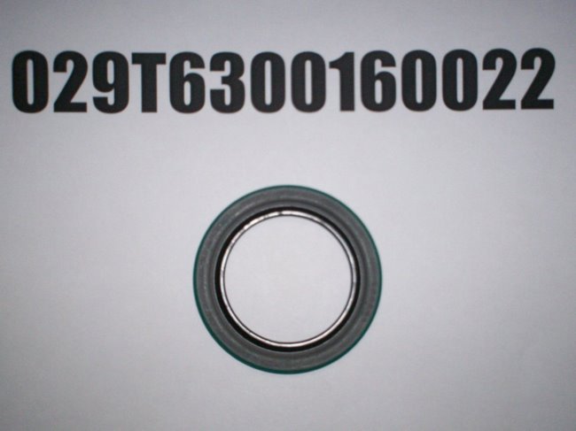 029T6300160022