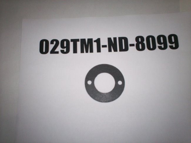 029TM1-ND-8099