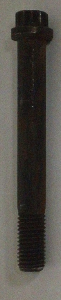 05000005389-6