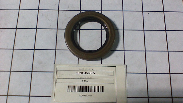 06200453065