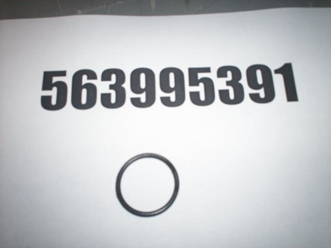 563995391