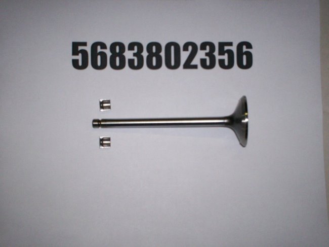 5683802356