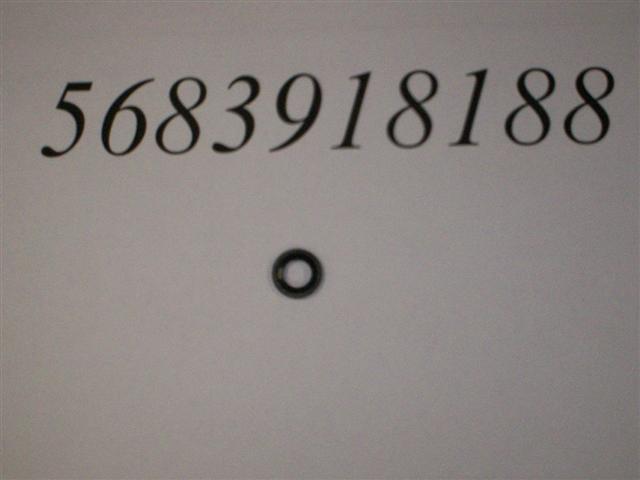 5683918188