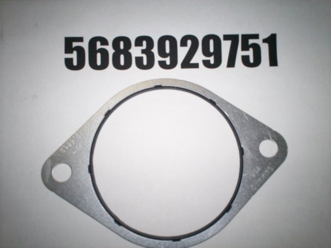 5683929751