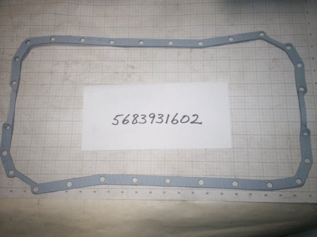 5683931602