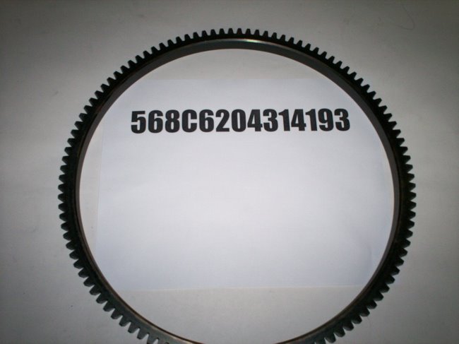 568C6204314193