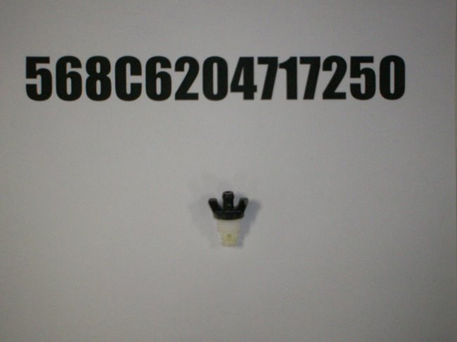 568C6204717250