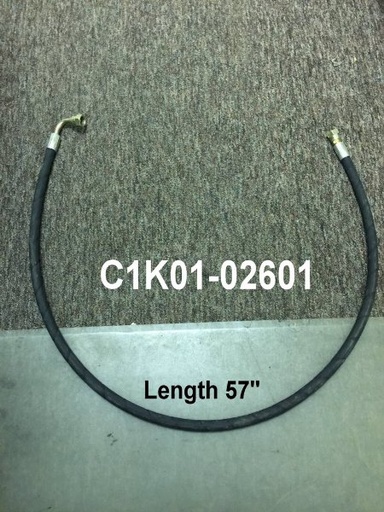 C1K01-02601