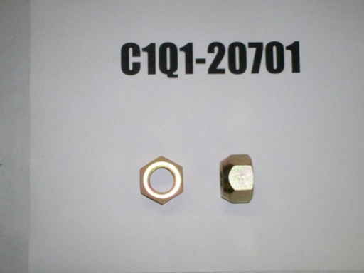 C1Q1-20701