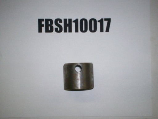 FBSH10017