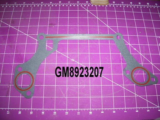 GM8923207