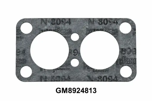 GM8924813