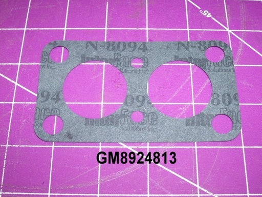 GM8924813