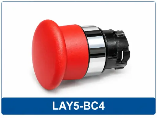 LAY5-BC4
