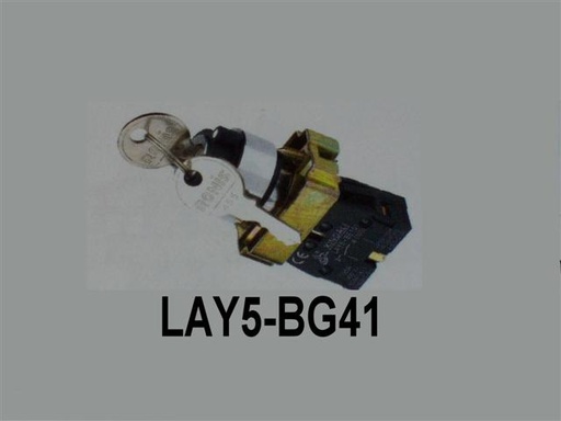 LAY5-BG41