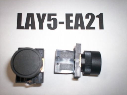 LAY5-EA21