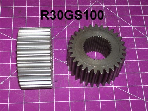 R30GS100