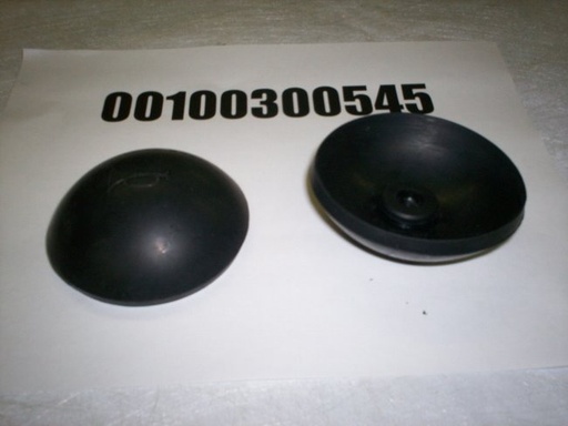 00100300545
