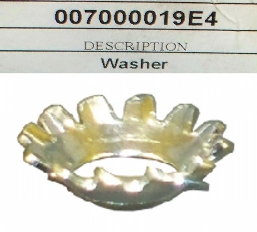 007000019E4