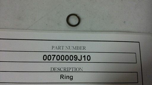 00700009J10
