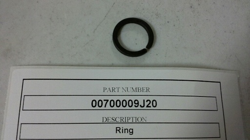 00700009J20