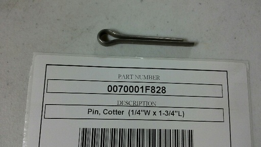 0070001F828