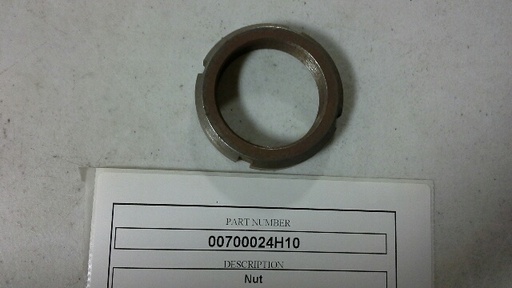 00700024H10