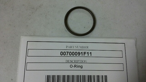 00700091F11