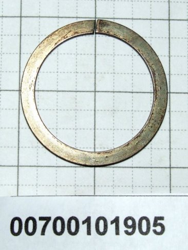 00700101905