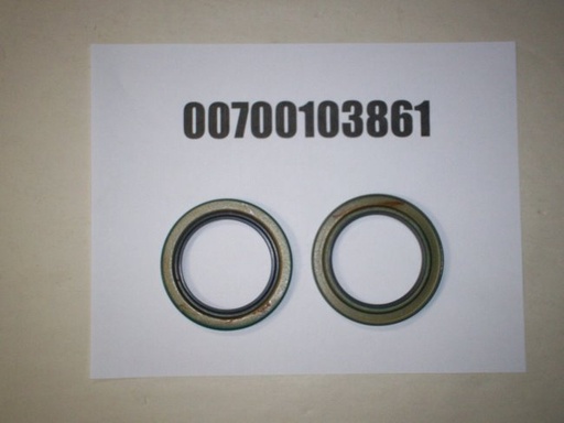 00700103861