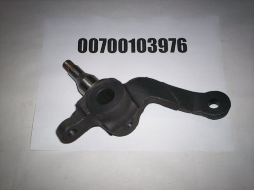 00700103976