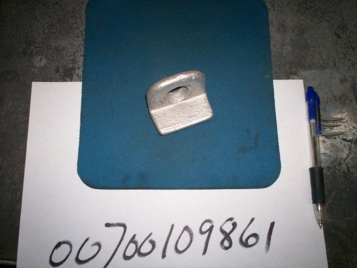 00700109861