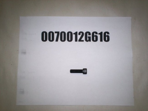0070012G616