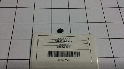 0070017G402