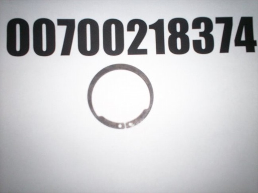 00700218374