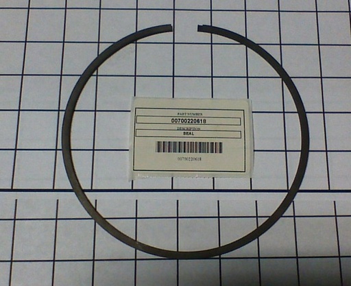 00700220618