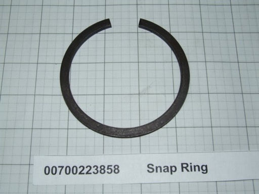 00700223858