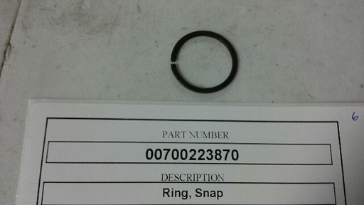 00700223870