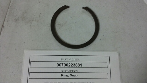 00700223881