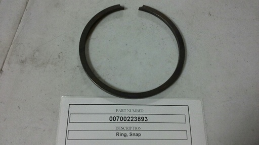 00700223893