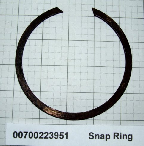 00700223951