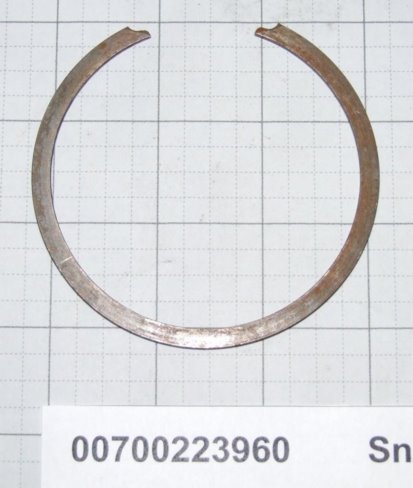 00700223960