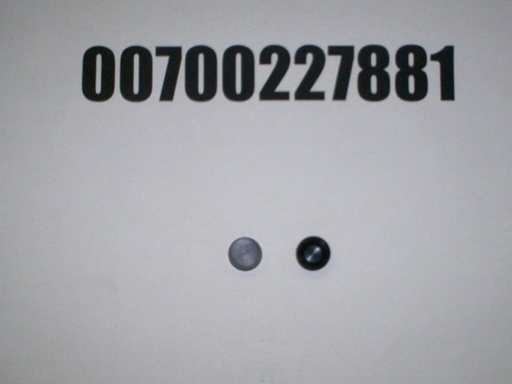 00700227881