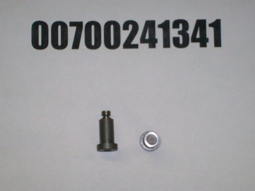 00700241341