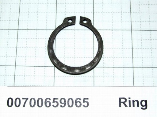 00700659065