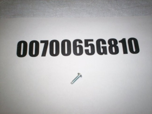 [8-32 X 5/8 Phillips Thread Cutting Screw] 0070065G810