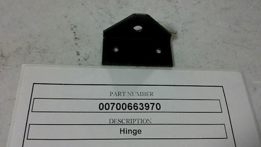 [Hinge] 00700663970