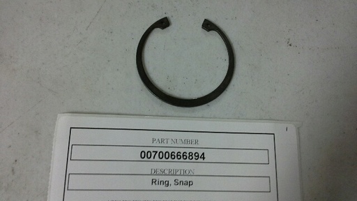 00700666894