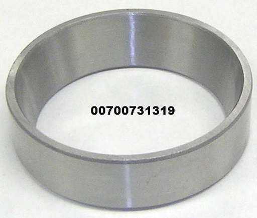 00700731319
